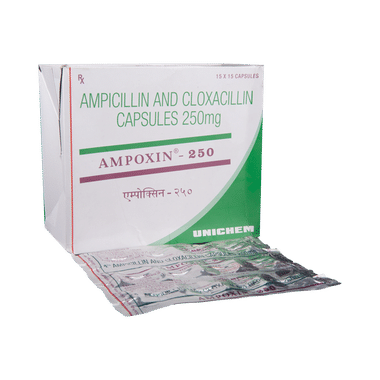 Ampoxin 250 Capsule