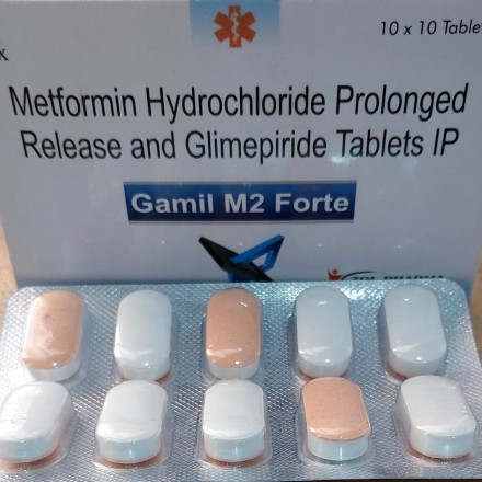 GAMIL M2 FORTE