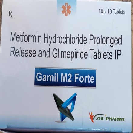 GAMIL M2 FORTE