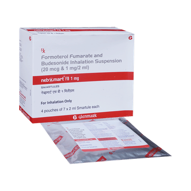 Nebzmart FB 1mg Smartules (2ml Each)