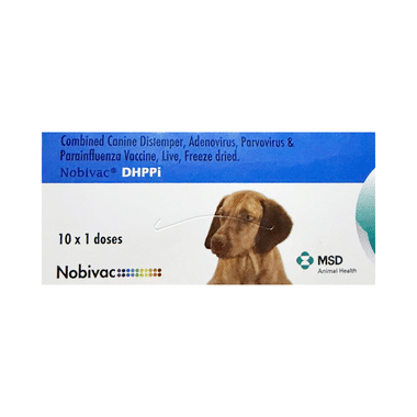 Image of Nobivac DHPPI Vaccine For Dogs