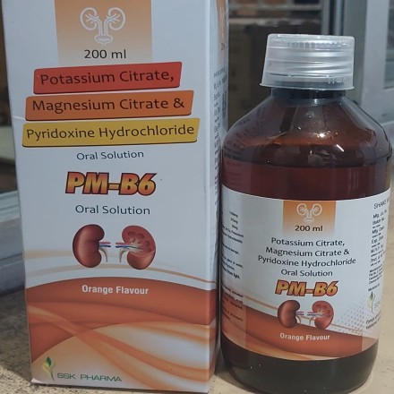 PM - B6 SYRUP