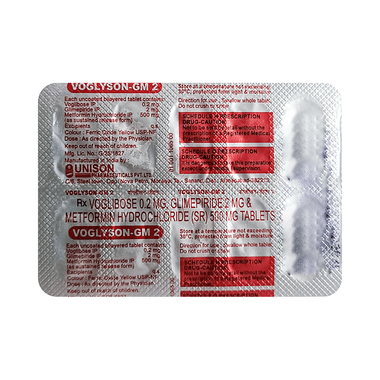Voglyson GM 2 Tablet