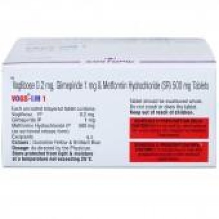 Vogs-GM 1 Tablet SR