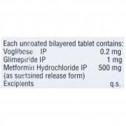 Vogs-GM 1 Tablet SR