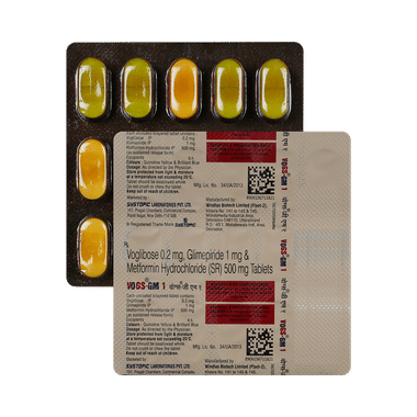 Vogs-GM 1 Tablet SR